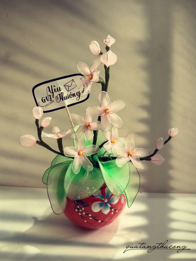 Chậu hoa voan mẫu 6